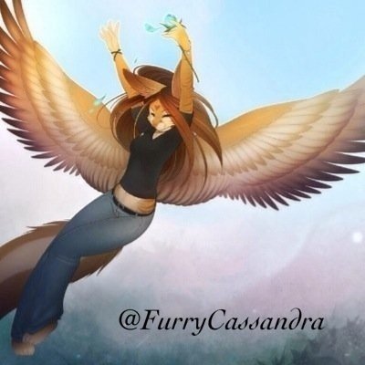 Loves nature, video games and flying im a cat with wings and powers Married: @Furry_Skillet son: Skillet Jr. Daughter: Rose. I absolutely love my family.