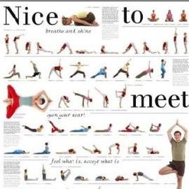 yogaposter_de's profile picture. Unser Yoga-Poster ein hochwertiges A1-Plakat auf dem 9 Yoga-Schüler und -Schülerinnen einer Yoga-Schule in Berlin 67 Yoga-Positionen zeigen.