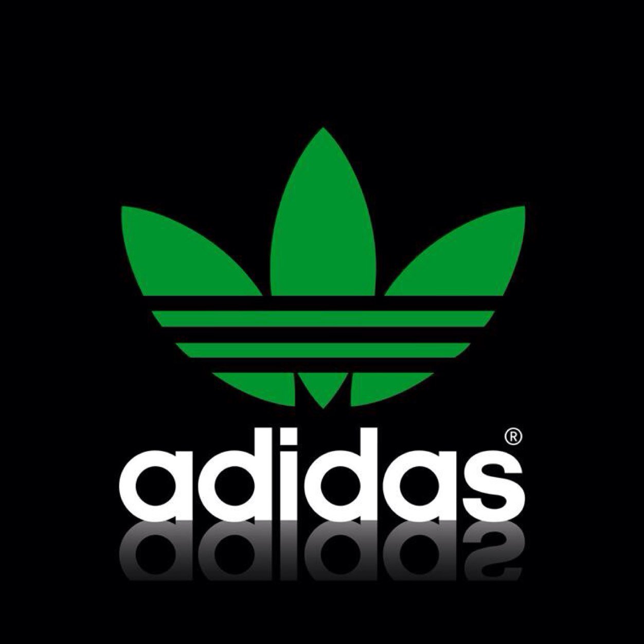 DecklandS's profile picture. 