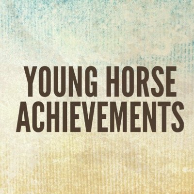 **The Page to Show Off Your Youngsters ** Please share with us your pictures of your young horses along with achievements