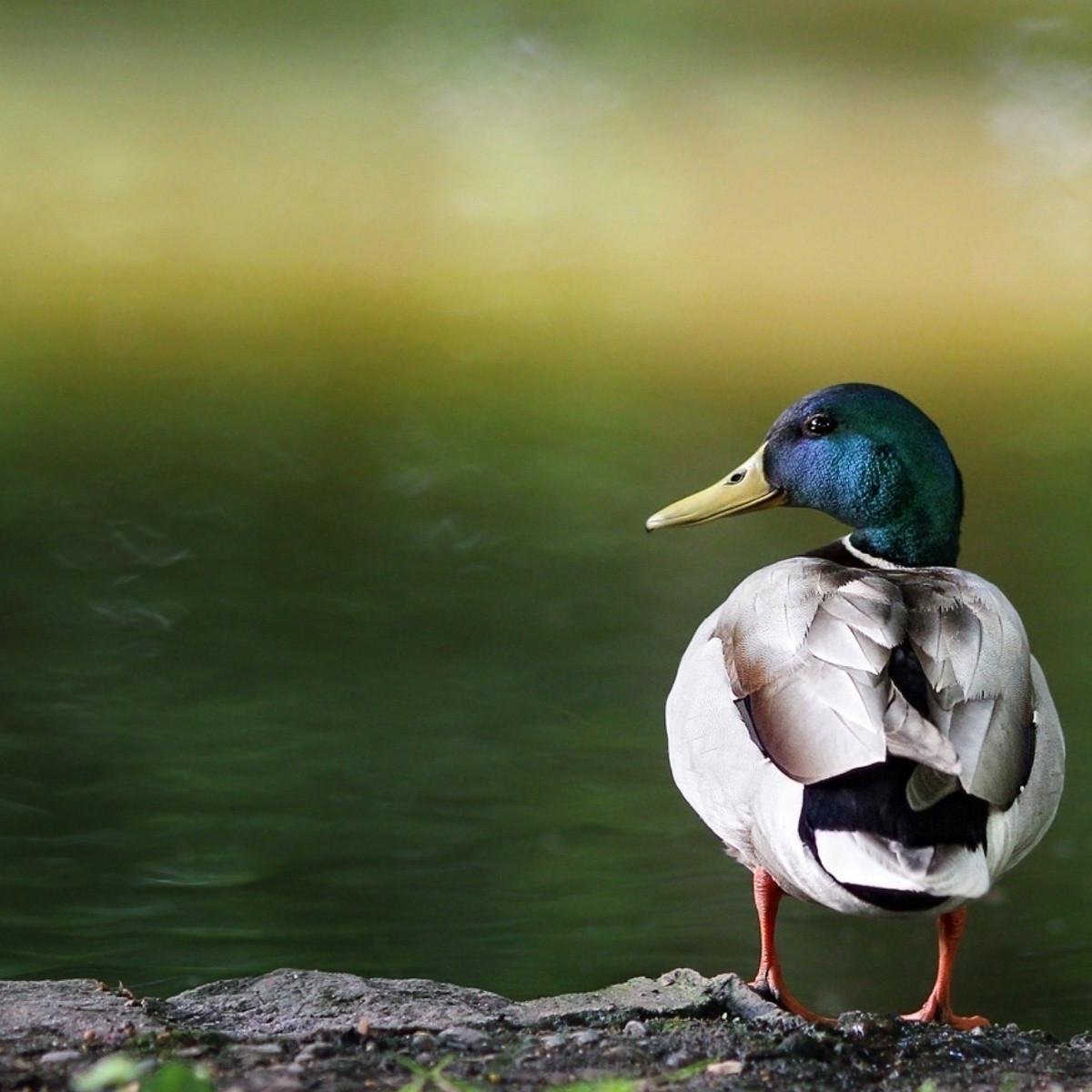 _ChrisHuff_'s profile picture. God fearing husband, father of 4. Former Army Military Police