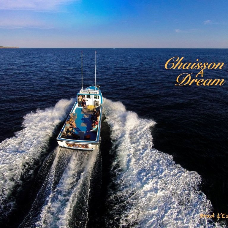 fiddlingfisher's profile picture. Fisherman/Musician