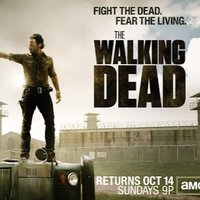 TWD Ships (@twd_ships) Twitter profile photo