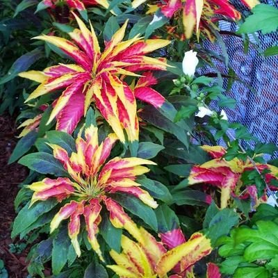 angellab26's profile picture. 