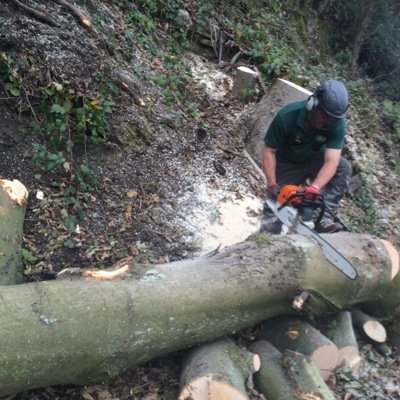 Heley Tree Care is a very highly experienced tree surgery company based in the Bradford and Craven area, We undertake all aspects of tree and hedge work.