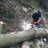 HeleyTreeWork's profile image