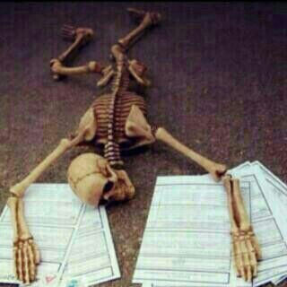 hatoufalazem's profile picture. 