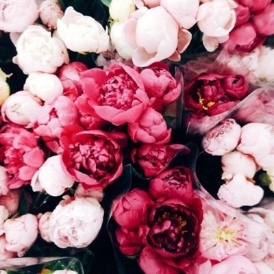 i really love god, vine, and youtube
oh and little things like nature♡