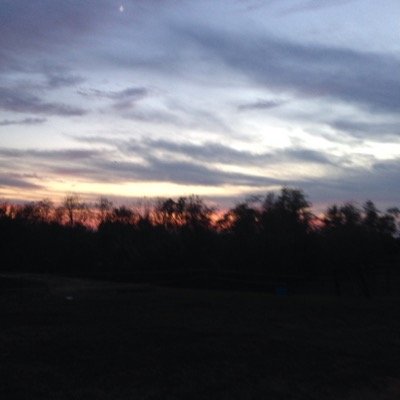 Hall62Dalton's profile picture. Proffesional cod player 
Chasing a dream