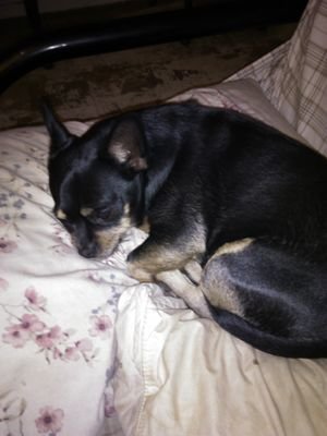 NetDelaune's profile picture. Humph!!