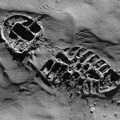 ADiffrntHandle's profile picture. A lurking, Arsenal supporting, Trump hating, libtard atheist. Just here to learn stuff and laugh.