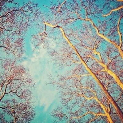 giu_ribas's profile picture. 