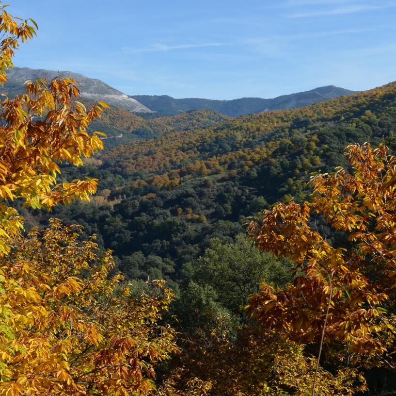 Valle del Genal