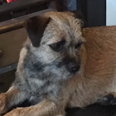 I was born 20.7.12. I live in Wandsworth with @wackybeebooks I'm good at eating, playing & cuddling. I also lives with CECS. Proud member of BTPosse.