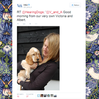 Victoria (@vicvolunteering) 's Twitter Profile