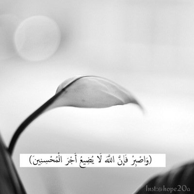 خريجة عام 1428 تخصص ( مقبرة البنات في جميع الكليات ) ، فرجٌ من ربٌ كريم 🍃