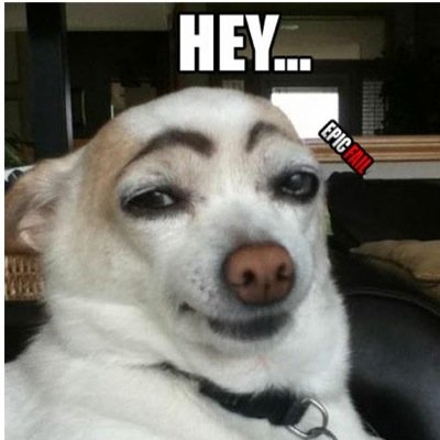 ILjackson99's profile picture. i follow back