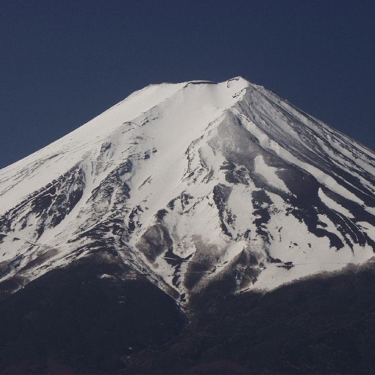 MtnFuji Profile Picture