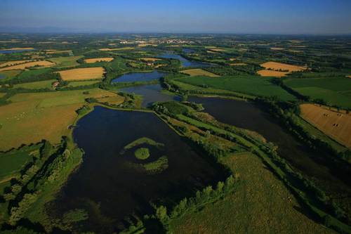 lbarday's profile picture. 