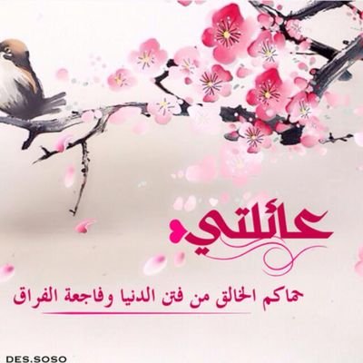 •اللهم ارحم المؤمنين والمؤمنات الاحياء منهم والأموات •