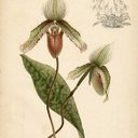 dawn oster - @dmfosteresq - Twitter