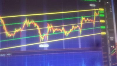 lbhi_services's profile picture. 