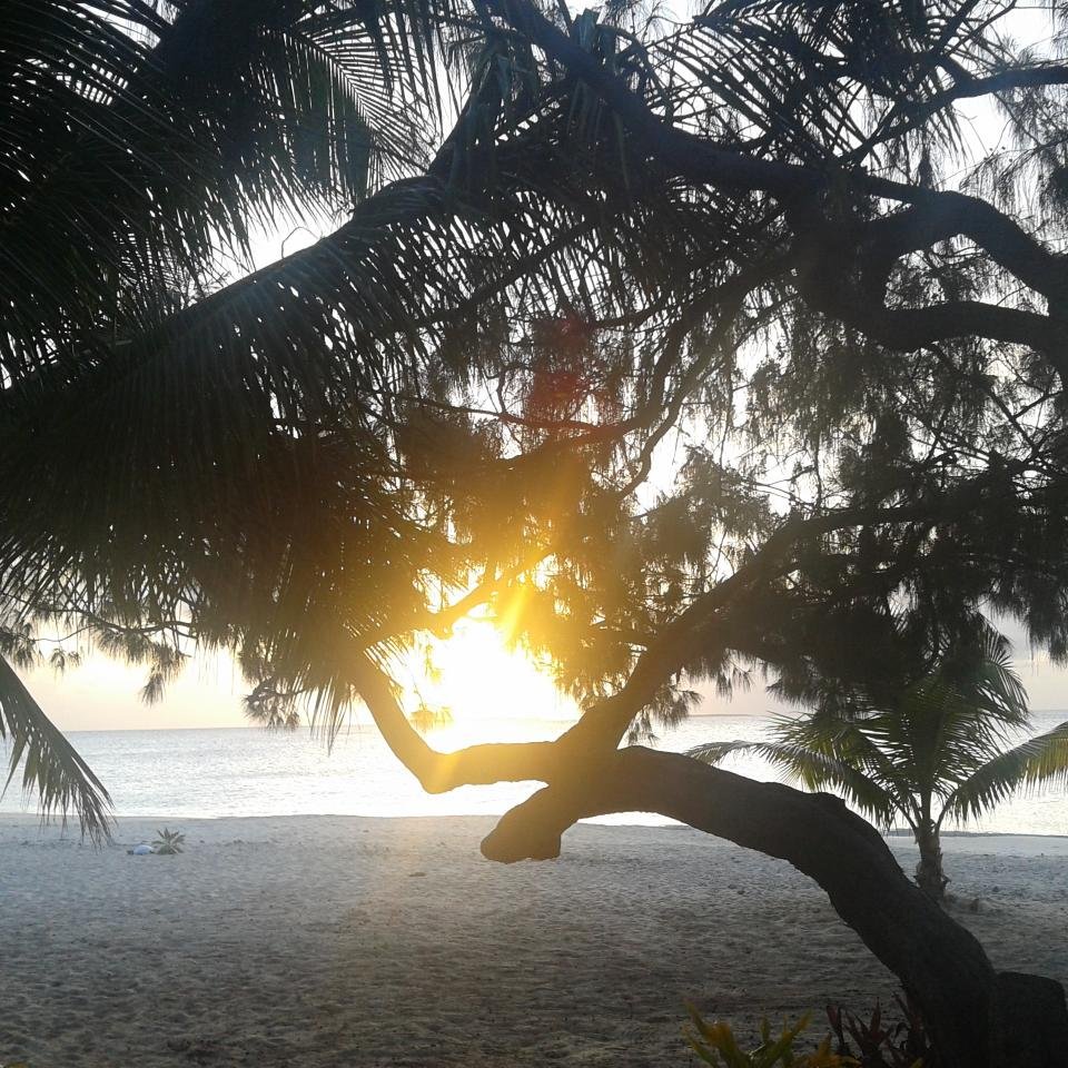 bobrob98800's profile picture. 