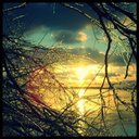 frank. molnar - @Bolero8Frank - Twitter