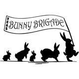 We are a group of volunteers at the Ventura County Animal Services shelter in Camarillo, CA who are dedicated to finding loving homes for the shelter bunnies.