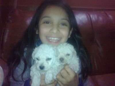 soy  morena  tengo  11 soy  de las  heras  cunplo  los  años  el 23 de  febrero  y me  encanta  abran  mateo