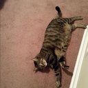 tracy mcrae - @104Mcrae - Twitter