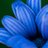 eva_palmer11's profile image
