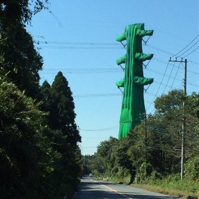 mk30372's profile picture. 地方の美味いもん食いたい