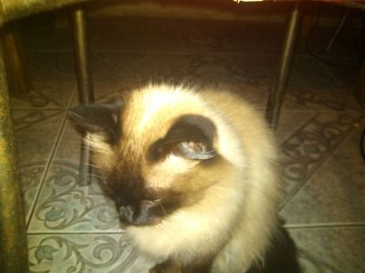 É formado em beber e fumar. É o bebado mais destroçado de toda City's Beer. Azucrinaldo, encrequerô, odeia o sistema. Completamente parako.