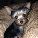 Paulette spivey - @paulette_spivey - Twitter