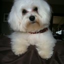 Homelifeservices - @shanda_clark_hs - Twitter