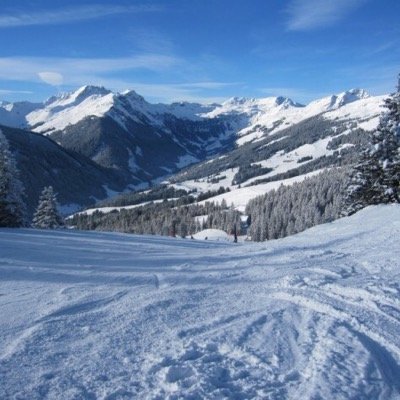 schoenmaekersb's profile picture. 