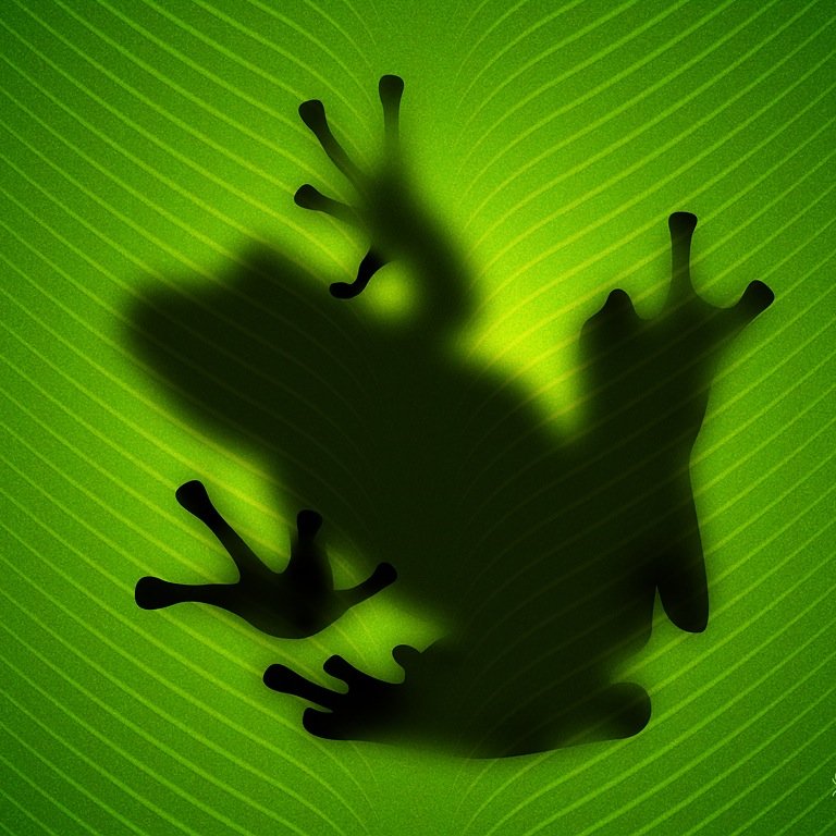 spitfyrexiv Profile Picture