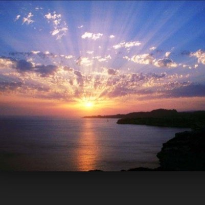 timothe95795557's profile picture. 