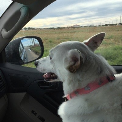 smhale69's profile picture. 