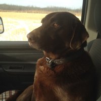 Wayne Erickson (@werick25013) 's Twitter Profile
