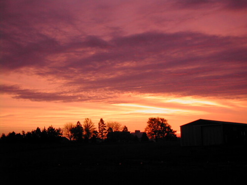 am_green_thumb's profile picture. I serve the Lord Jesus Christ looking for lifetime victory, family man,  pick up a free vsmart on me click the link