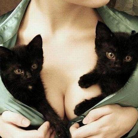 Hi there, I tweet world's funny and trendy news everyday. If you like them,please visit my website.