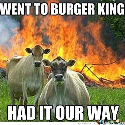 But the cows never came home...