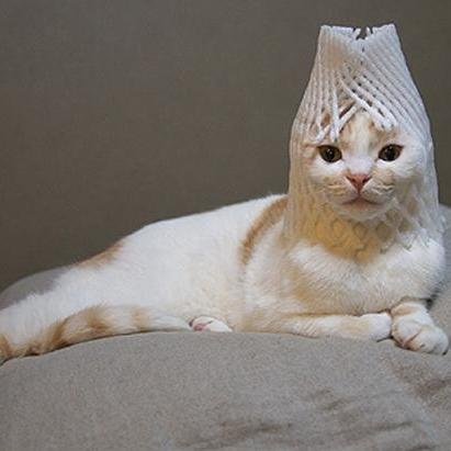 Hi there, I tweet world's funny and trendy news everyday. If you like them,please visit my website.