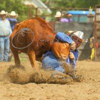 Dan Tober (@dttober) 's Twitter Profile