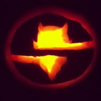 Springville Stud Co (@reddevil_studco) 's Twitter Profile