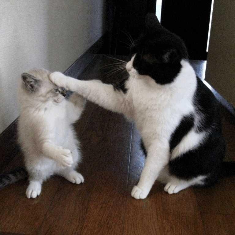 Hi there, I tweet world's funny and trendy news everyday. If you like them,please visit my website.