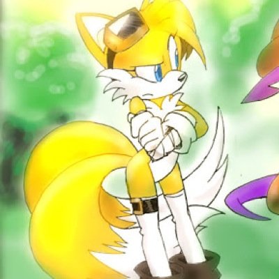 Hi! I'm Millie! I'm a female clone of Tails! #single (somewhat 18+ RP acc) #SonicTheHedgehogRP