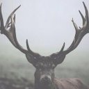 . (@098765kjh) Twitter